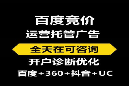 成功SEM服务案例：优化广告投放
